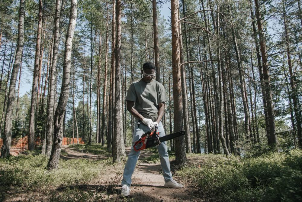 Tree Removal