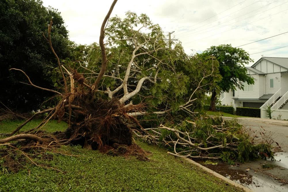 Storm Damage & Emergency